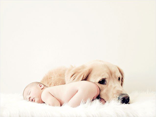 18-call-it-puppy-love-636.jpg, 30 KB
