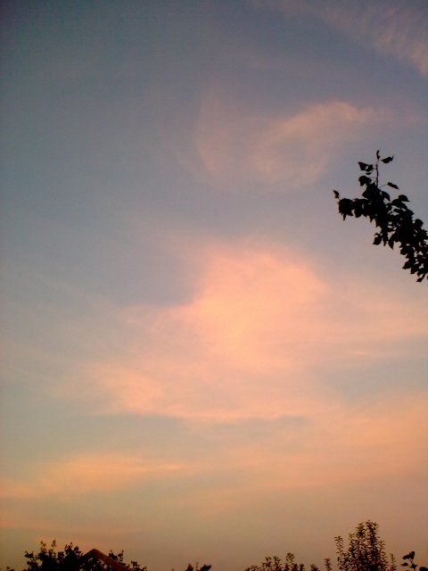 18082010_002.jpg, 240 KB