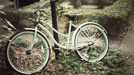 20110421_tumblr_lizhe8eu9j1qzcq51o1_500.gif, 1019 KB