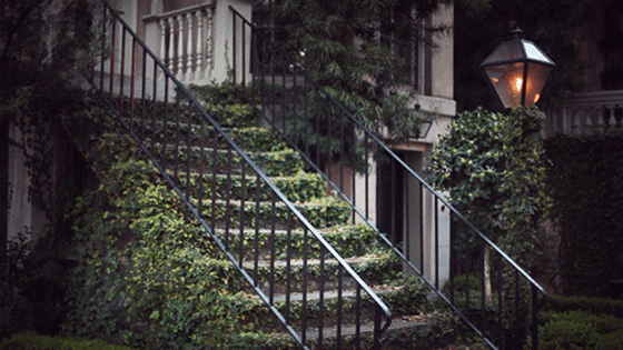20110421_tumblr_ljjzglkekc1qzcq51o1_500.gif, 349 KB