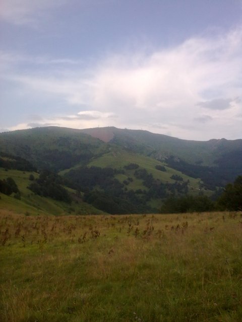 24072010_035.jpg, 267 KB