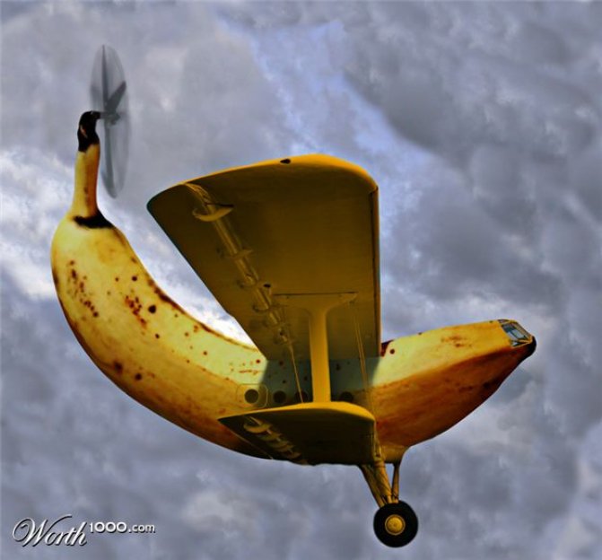 732501_e46a_625x1000.jpg, 40 KB